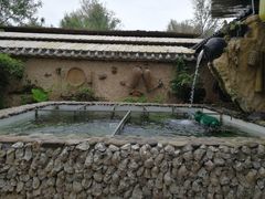 景观位-园林美食城·本土农家菜(杨和镇店)