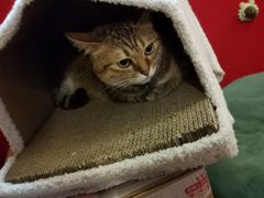 -H立方实景剧情密室(天河旗舰店)