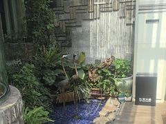 -慢丽江·云南野生菌土鸡锅(付家庄店)