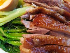 金奖卤鹅肉饭-陈鹏鹏潮汕菜(宝安机场T3航站楼店)