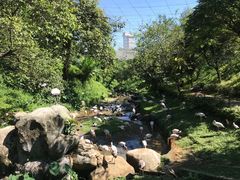 -吉隆坡雀鸟公园
