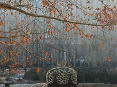 -元大都城垣遗址公园