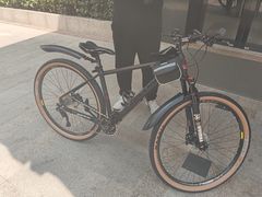 -道路口单车爱瓦士dahon大行