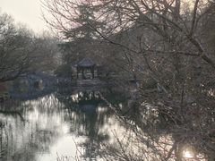 -西湖游船