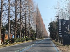 -黄海国家森林公园