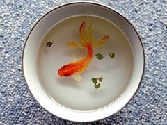 -秦云老太婆摊摊面(全国总店)