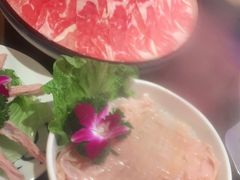 -大龙燚火锅(南山大道店)