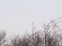 -北京动物园