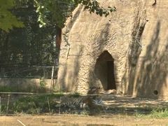 -秦皇岛野生动物园