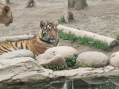 -上海野生动物园