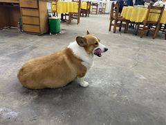 -鹿福农庄(南沙天后宫店)