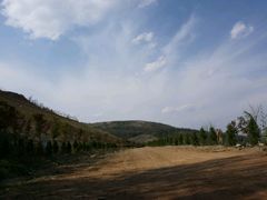 -长虫山生态公园风景林