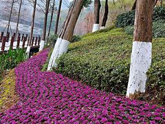 -重庆彩云湖湿地公园