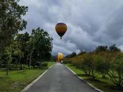 -中国科学院西双版纳热带植物园