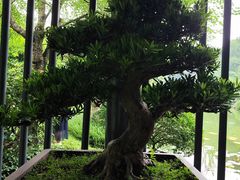 -云溪植物园