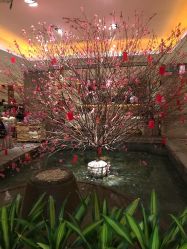 迎宾区-惠食佳·宴会厅(滨江西路店)