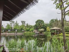 -成飞公园