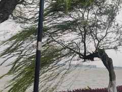 -东湖生态旅游风景区