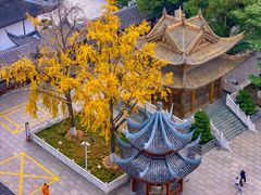 -上海东林寺(金山区)