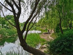 -贡湖湾湿地公园