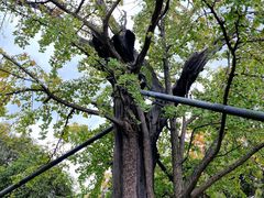 -上海佘山国家森林公园天马山园