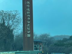 -汉景帝阳陵博物院