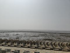 -南汇嘴观海公园