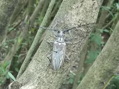 -上海吴淞炮台湾国家湿地公园
