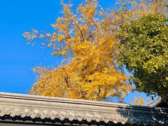 -阅江楼风景区