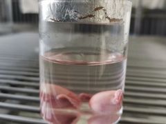 -荔康动物医院(康王北路店)