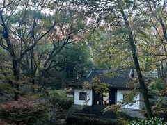 -虎跑公园