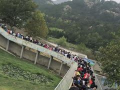 -西霞口神雕山野生动物世界