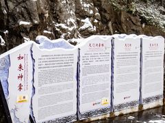 -武陵山森林公园