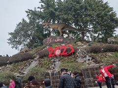 -自贡恐龙博物馆