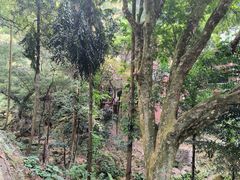 -飞霞风景名胜区