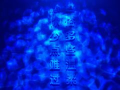 -杭州西湖星空魔幻城(星空艺术馆品牌旗舰店)