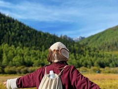 -稻城亚丁景区-冲古草甸