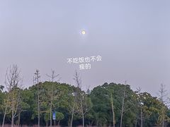 -嘉北郊野公园