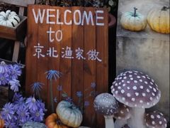 -京北渔家傲