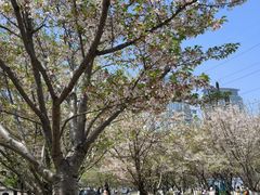 -西北湖绿化广场