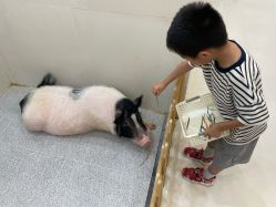 -Moni星球萌宠·小马宝莉·灵蛇·高端高阶全萌宠互动体验俱乐部(红豆国际广场店)