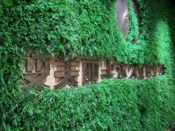 -变美丽半永久纹眉连锁·机器野生眉•洗眉