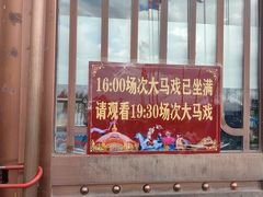 -俄罗斯国家大马戏团