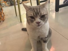 -平行世界·猫咖(首经贸店)