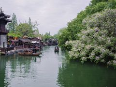 -乌镇东栅景区