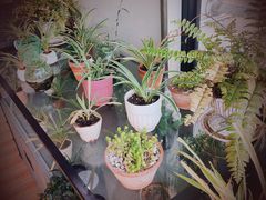 -813芭依珊 BAESAn(皇冠十畝地店)