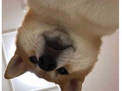 -吉友粥底火锅(方斜路店)