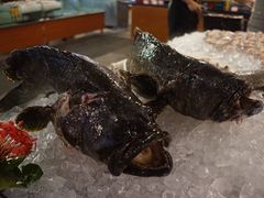 -渔家火锅·海鲜自助餐·演艺(亚龙湾天域酒店)