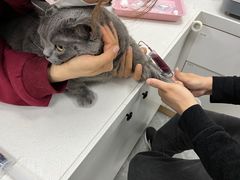 -东莞宠友24H宠物中心医院·转诊夜诊·异宠(新河北路院)