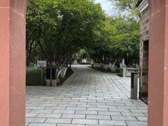 -八大山人梅湖景区